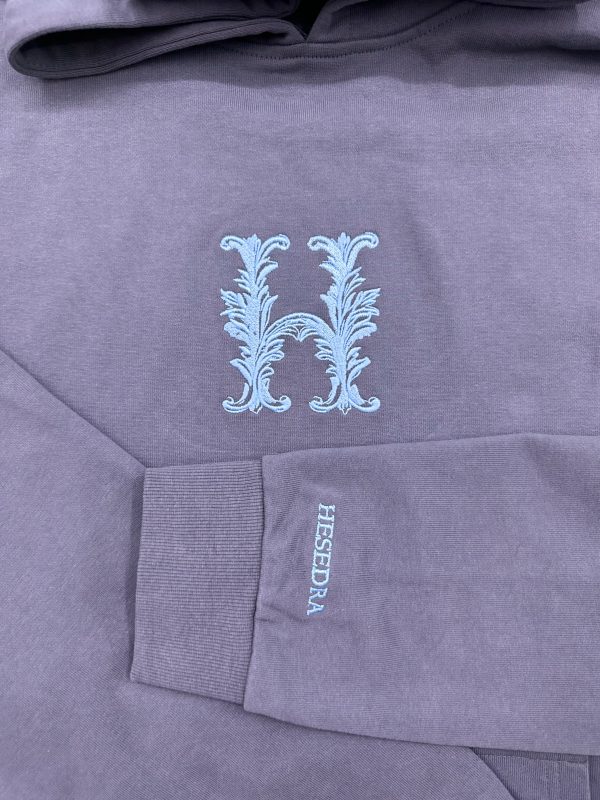 Hoodie logo